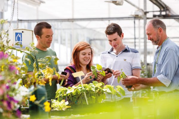 Florsitry students looking at plants in a greenhouse with their tutor